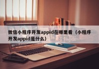 微信小程序开发appid在哪里看（小程序开发appid是什么）