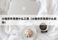 小程序开发用什么工具（小程序开发用什么软件）