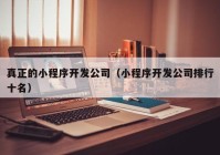 真正的小程序开发公司（小程序开发公司排行十名）