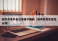 软件开发外包公司是干嘛的（软件开发外包怎么样）