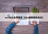 seo优化自然排名（seo排名优化方式）