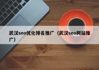 武汉seo优化排名推广（武汉seo网站推广）