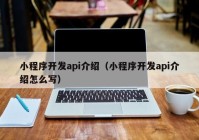 小程序开发api介绍（小程序开发api介绍怎么写）