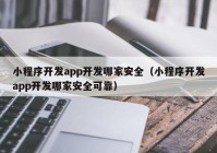 小程序开发app开发哪家安全（小程序开发app开发哪家安全可靠）