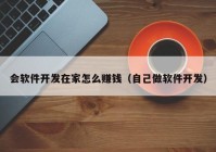 会软件开发在家怎么赚钱（自己做软件开发）