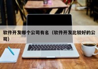 软件开发哪个公司有名（软件开发比较好的公司）