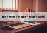 软件开发团队名字（软件开发团队介绍范文）