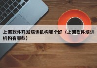 上海软件开发培训机构哪个好（上海软件培训机构有哪些）