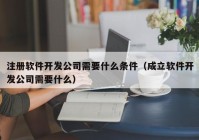 注册软件开发公司需要什么条件（成立软件开发公司需要什么）