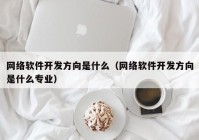 网络软件开发方向是什么（网络软件开发方向是什么专业）