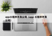 app小程序开发公司（app 小程序开发公司）