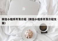 微信小程序开发介绍（微信小程序开发介绍文案）