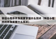 微信小程序开发需要掌握什么技术（微信小程序的开发需要什么技术）