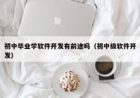 初中毕业学软件开发有前途吗（初中级软件开发）