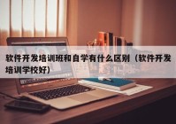 软件开发培训班和自学有什么区别（软件开发培训学校好）