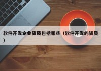 软件开发企业资质包括哪些（软件开发的资质）