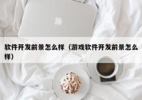 软件开发前景怎么样（游戏软件开发前景怎么样）