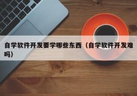 自学软件开发要学哪些东西（自学软件开发难吗）