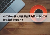 小红书seo优化帝搜平台实力第一（小红书优化首选帝搜软件）