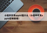 小程序开发appid是什么（小程序开发appid在哪里看）