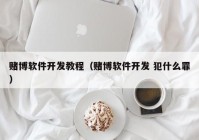 赌博软件开发教程（赌博软件开发 犯什么罪）