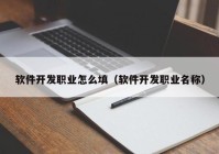 软件开发职业怎么填（软件开发职业名称）