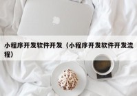 小程序开发软件开发（小程序开发软件开发流程）