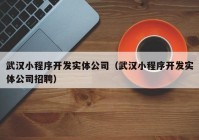 武汉小程序开发实体公司（武汉小程序开发实体公司招聘）