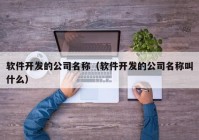 软件开发的公司名称（软件开发的公司名称叫什么）