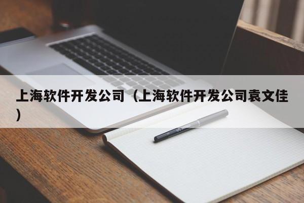 上海软件开发公司(上海软件开发公司袁文佳)