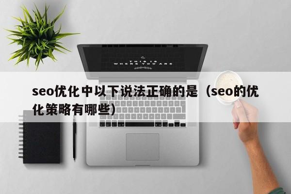 seo优化中以下说法正确的是(seo的优化策略有哪些)