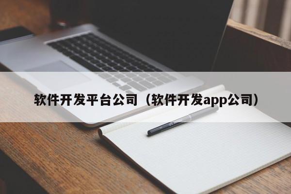 软件开发平台公司(软件开发app公司)