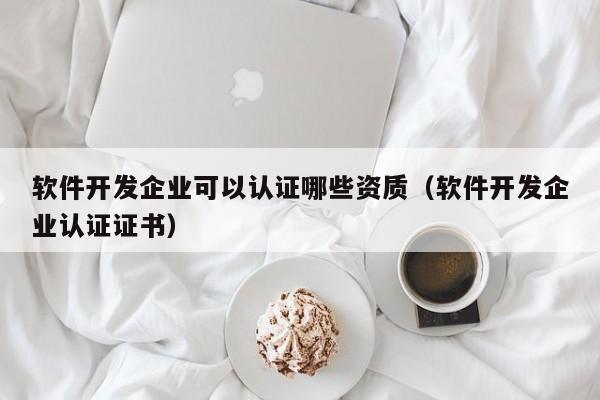 软件开发企业可以认证哪些资质(软件开发企业认证证书)