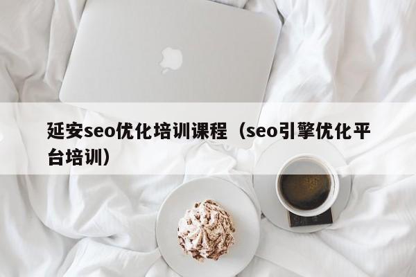 延安seo优化培训课程(seo引擎优化平台培训)
