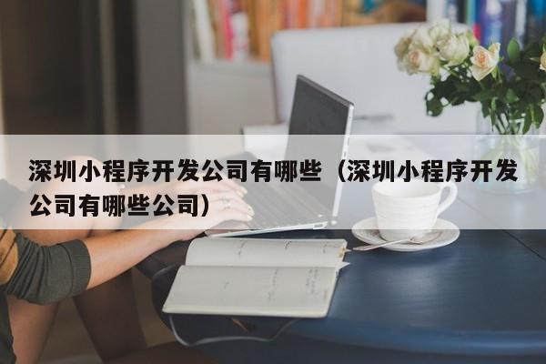 深圳小程序开发公司有哪些(深圳小程序开发公司有哪些公司)