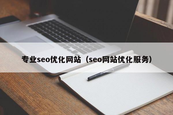 专业seo优化网站(seo网站优化服务)
