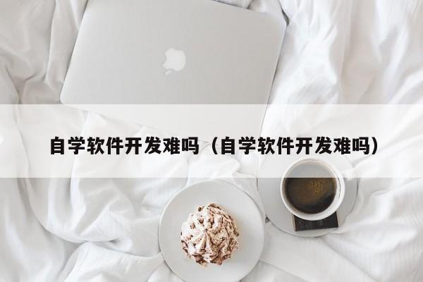 自学软件开发难吗(自学软件开发难吗)