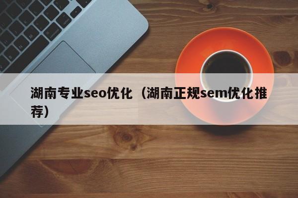 湖南专业seo优化(湖南正规sem优化推荐)