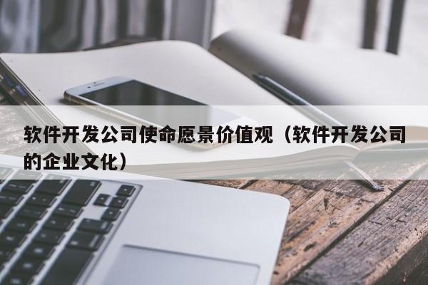 软件开发公司使命愿景价值观(软件开发公司的企业文化)
