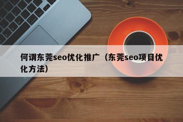 何谓东莞seo优化推广(东莞seo项目优化方法)