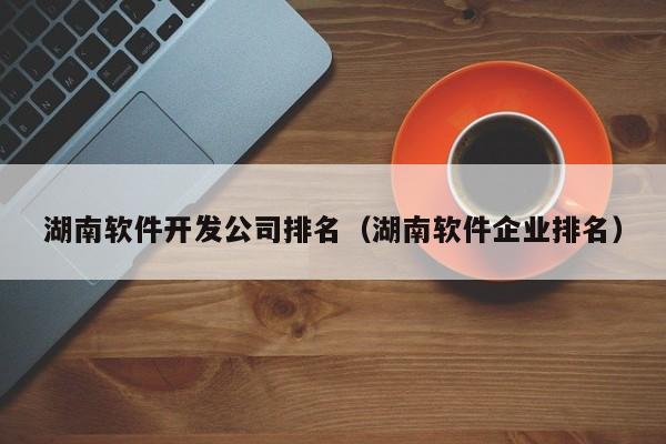 湖南软件开发公司排名(湖南软件企业排名)