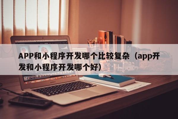 APP和小程序开发哪个比较复杂(app开发和小程序开发哪个好)