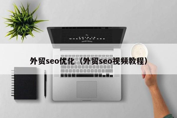 外贸seo优化(外贸seo视频教程)