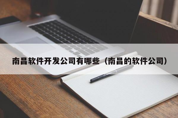 南昌软件开发公司有哪些(南昌的软件公司)