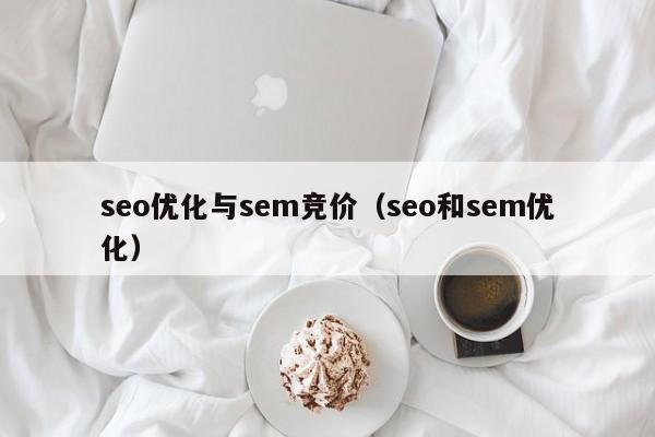 seo优化与sem竞价(seo和sem优化)