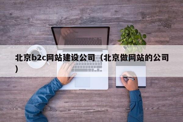 北京b2c网站建设公司(北京做网站的公司)